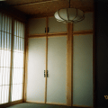 photo7